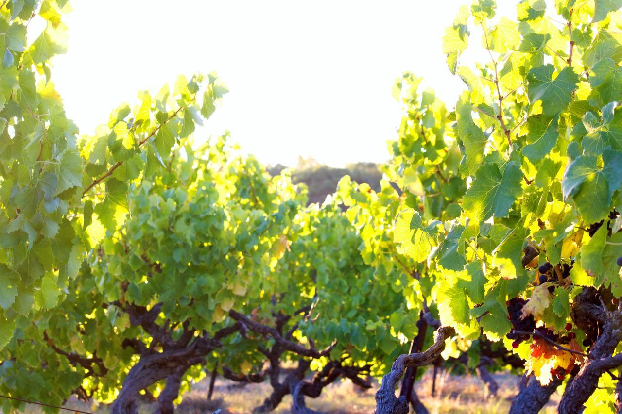 Bed & Breakfast At Tiffany'S Mclaren Vale Buitenkant foto